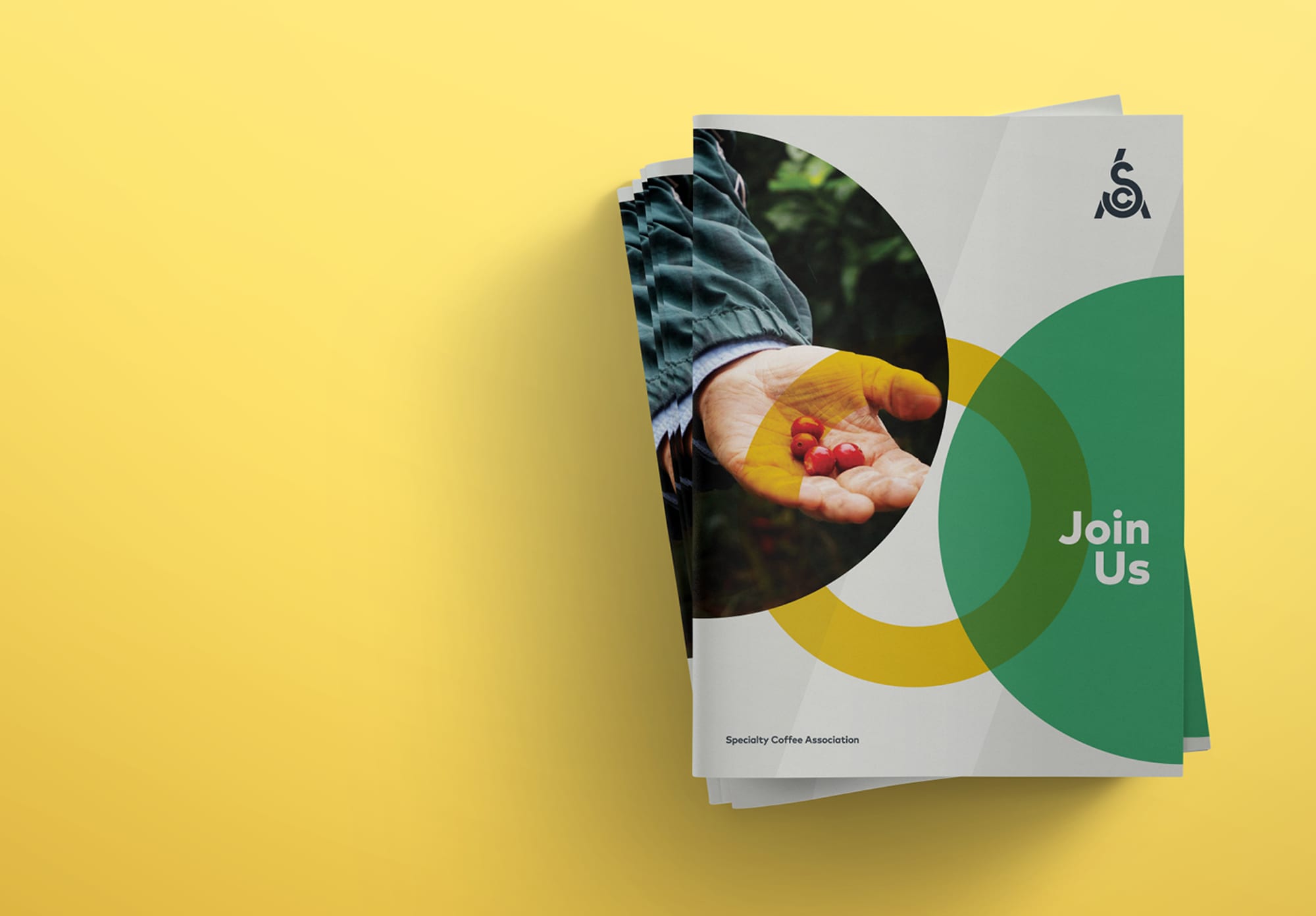 One Darnley Road Sca Specialty Coffee Association Brand Identity Brochure Design