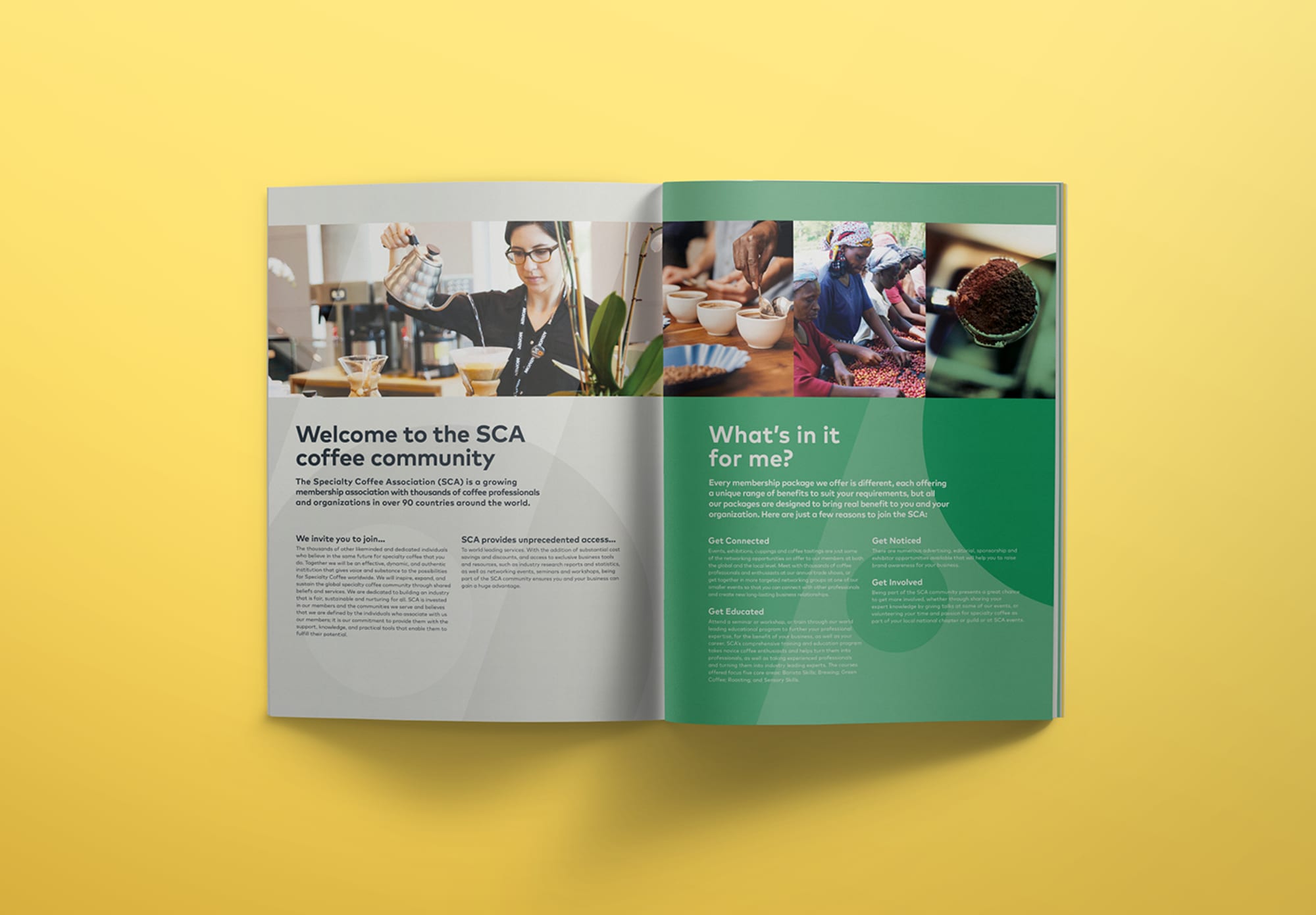 One Darnley Road Sca Specialty Coffee Association Brand Identity Brochure